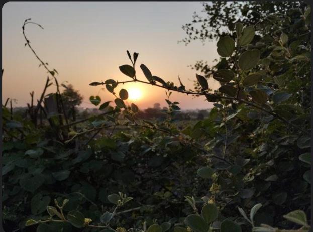 Raj Home Stay Βαρανάσι Εξωτερικό φωτογραφία
